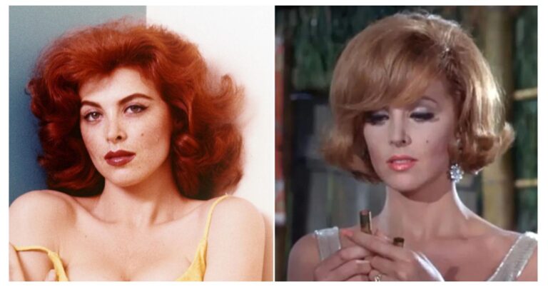 Tina Louise Net Worth